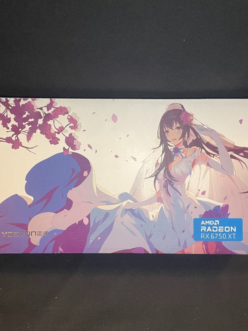 AMD Radeon RX 6750xt Limited Edition Box